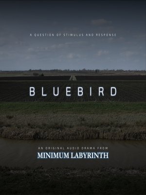 cover image of Bluebird